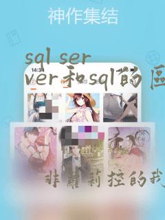 sql server和sql的区别