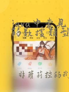 java中常见的数据类型有哪些