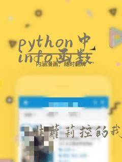 python中info函数