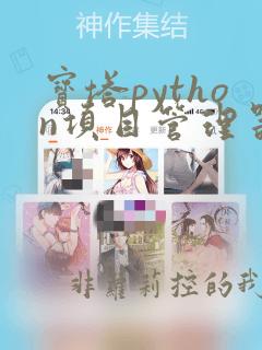 宝塔python项目管理器启动不了