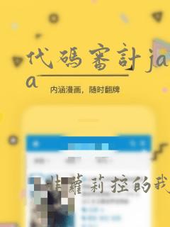 代码审计java