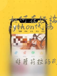 如何在终端运行python代码