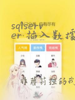 sqlserver 插入数据