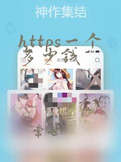 https一个多少钱