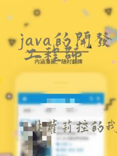 java的开发 工程师