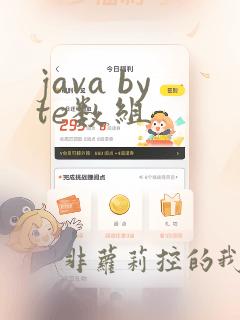 java byte数组