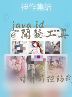 java ide 开发工具