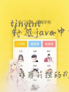 tinyint对应java中什么类型