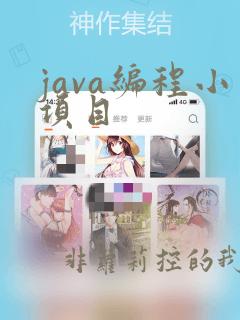 java编程小项目