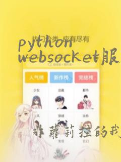 python websocket服务
