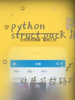 python struct.pack用法