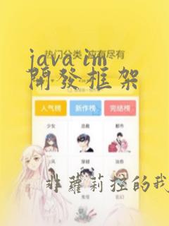 java im开发框架