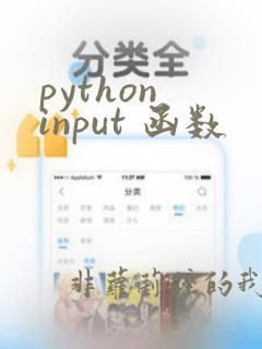 python input 函数