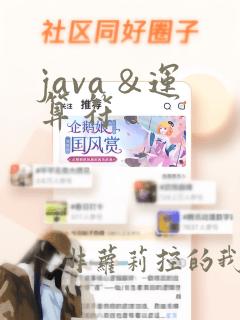 java &运算符
