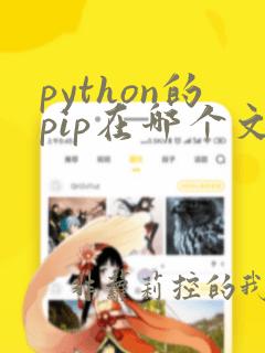 python的pip在哪个文件夹下