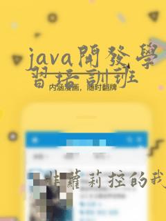 java开发学习培训班