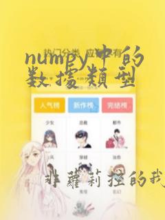 numpy中的数据类型