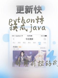 python转换成java