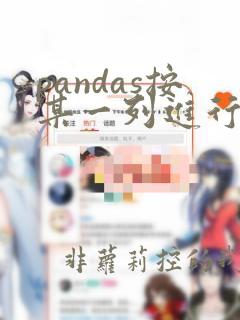 pandas按某一列进行排序