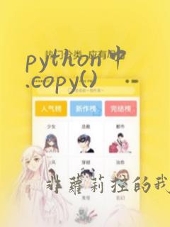 python中.copy()