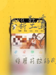 java 数据分析工具