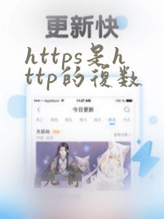 https是http的复数