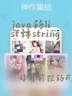 java的list转string