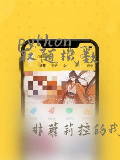 python 取随机数