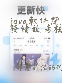 java软件开发绩效考核