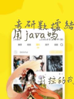 考研数据结构能用java吗