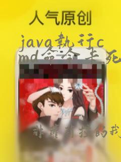java执行cmd命令卡死