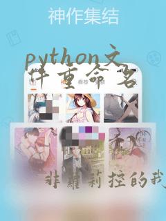python文件重命名