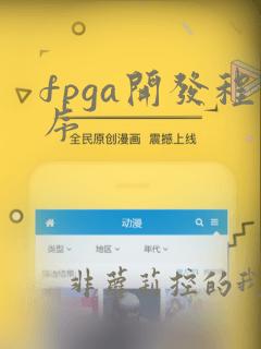 fpga开发程序