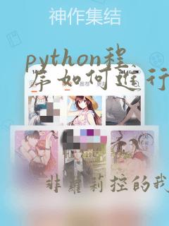 python程序如何进行调用