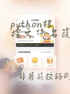 python根据文件名获取文件路径