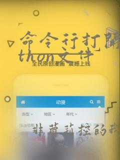 命令行打开python文件