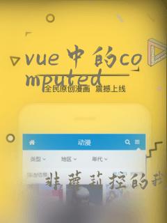 vue中的computed