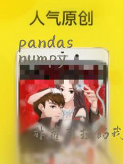 pandas numpy