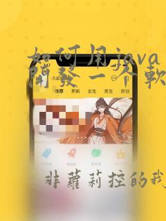 如何用java开发一个软件