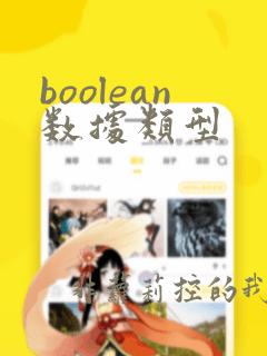 boolean数据类型