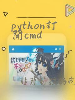 python打开cmd