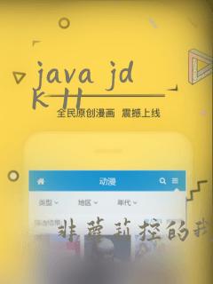 java jdk 11