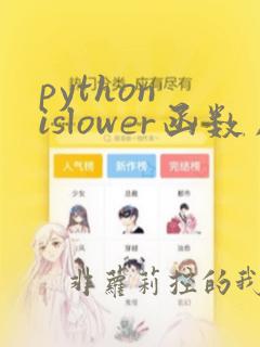python islower函数用法