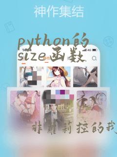 python的size函数