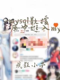 mysql数据库中进入mysql库的命令