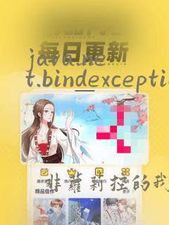 java.net.bindexception