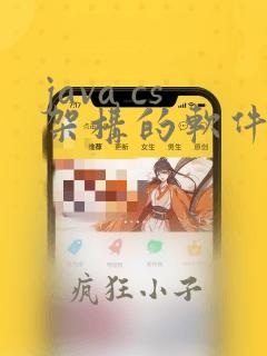 java cs架构的软件开发