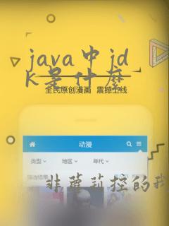 java中jdk是什么