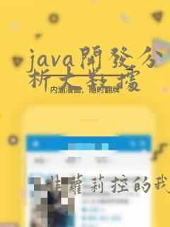 java开发分析大数据