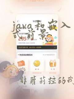 java和嵌入式前景